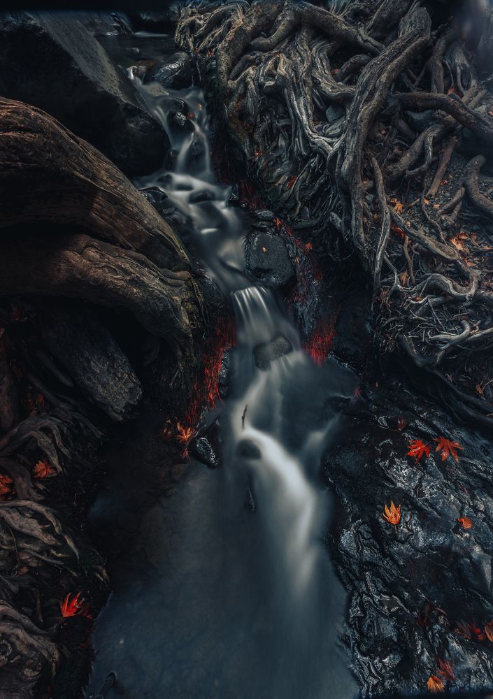 Photograph by Павел Ермилов