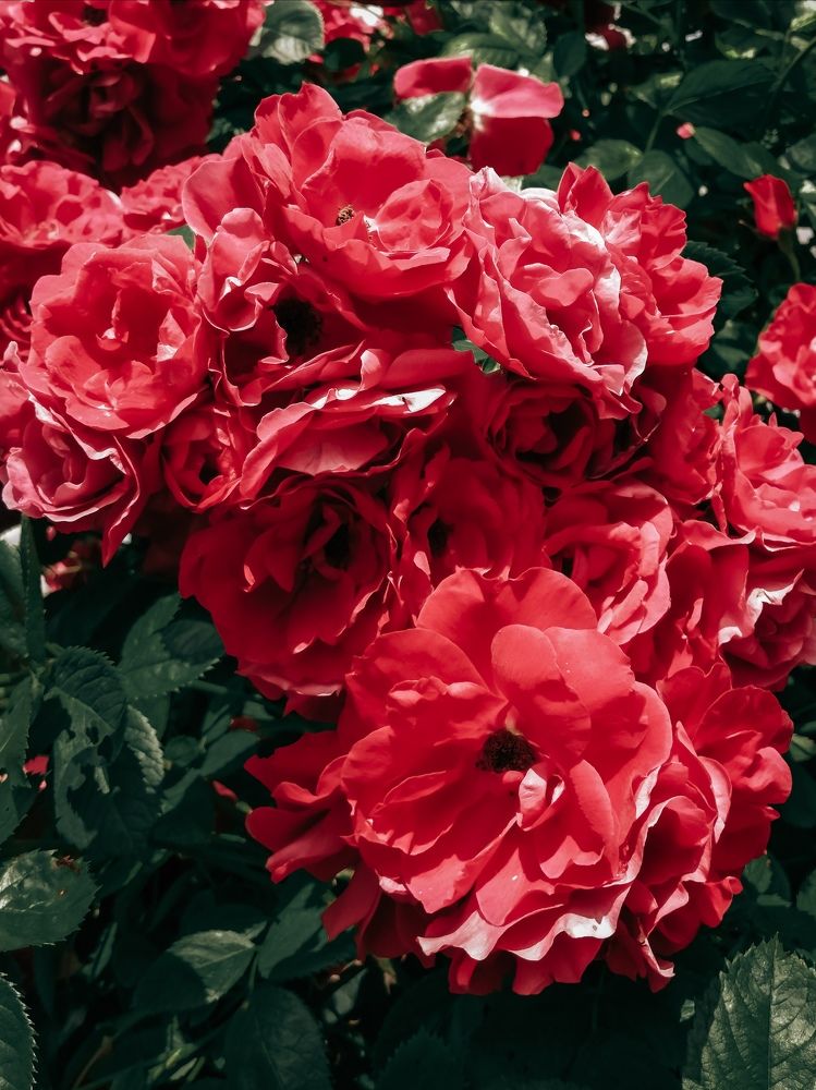 Photograph by Ольга Барковская