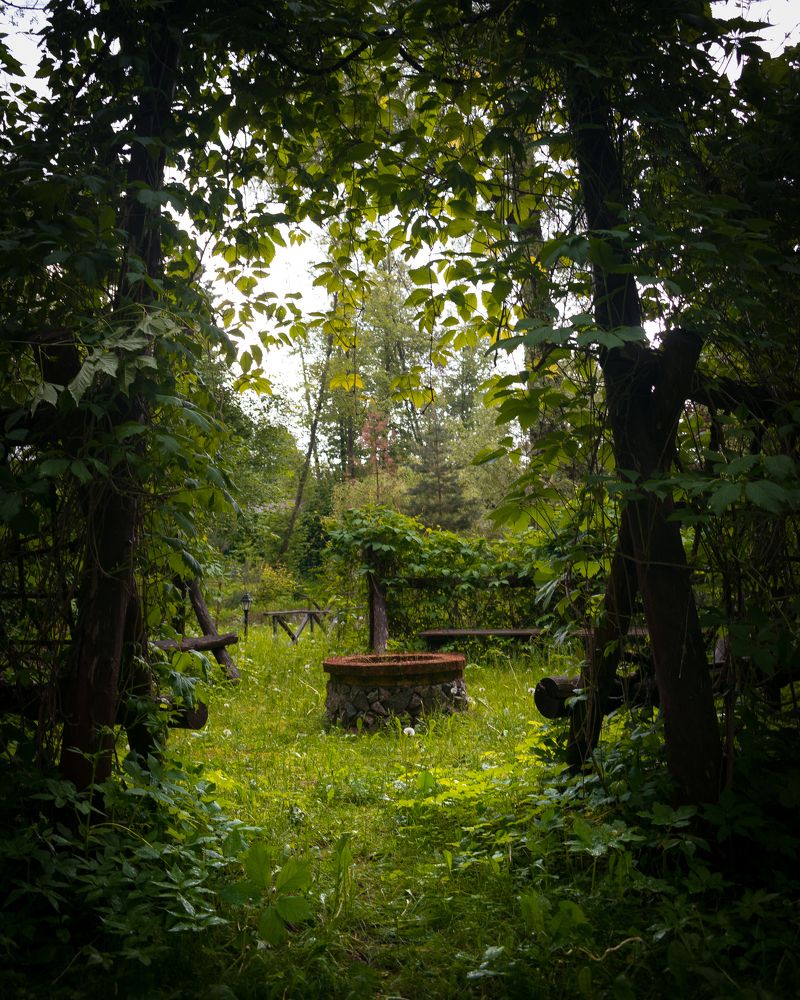 Фотография автора Кирилл Багинский