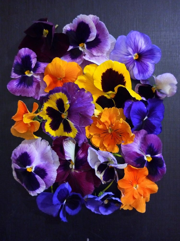 Photograph by Ирина Фирсова