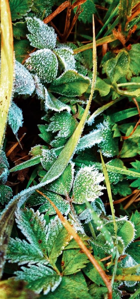 Photograph by Наталия Юминова