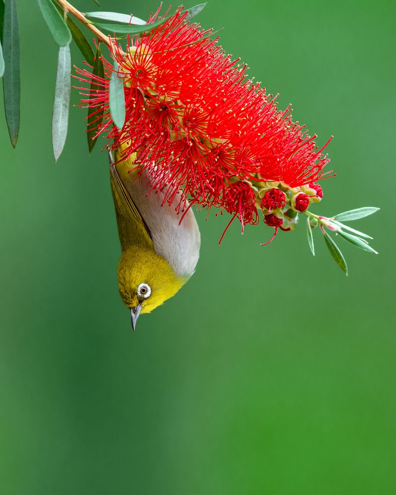 Photograph by Visveswar VK