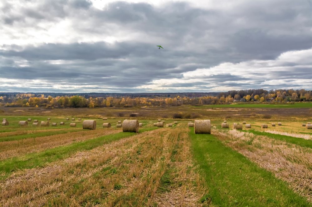 осенние перелёты