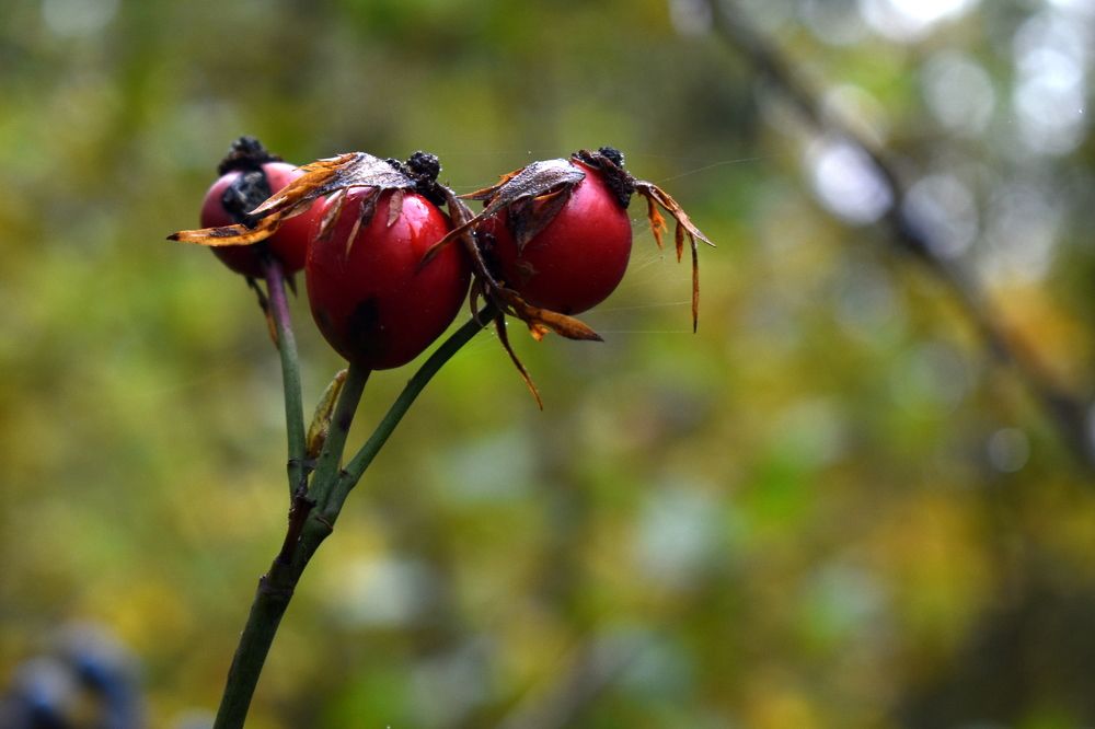 Photograph by Татьяна Калугина