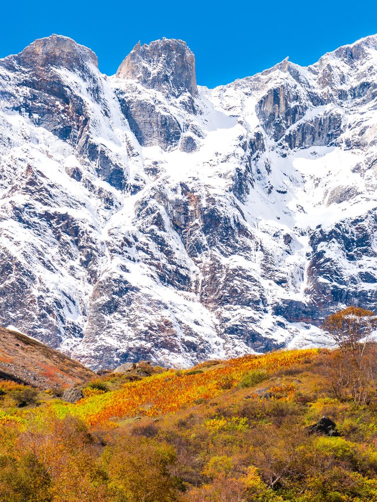 Photograph by Digvijay singh Janoti