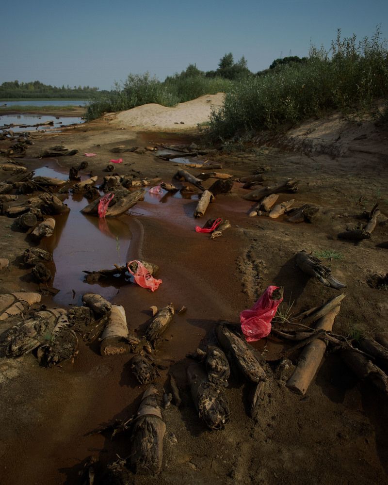 Photograph by Мария Лямина