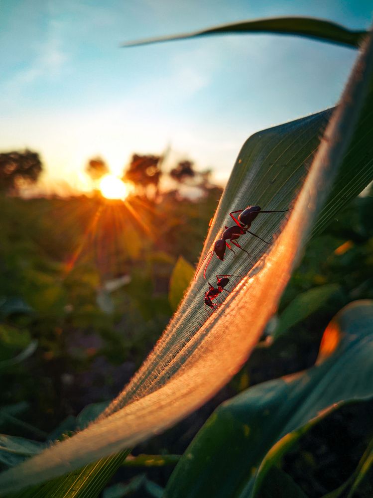 Photograph by Premkumar Karwar