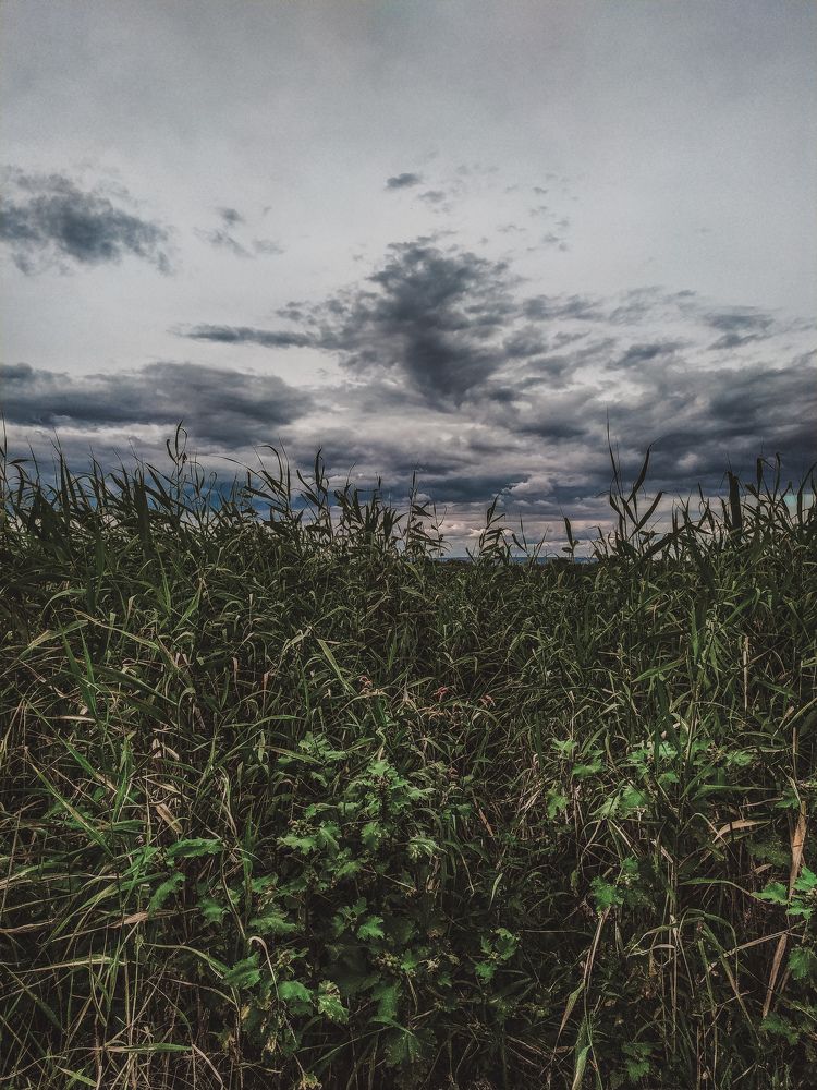 Фотография автора Юлия Гантимурова