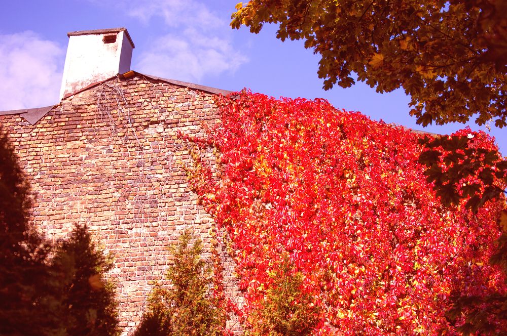 Photograph by Dariusz Gruszka