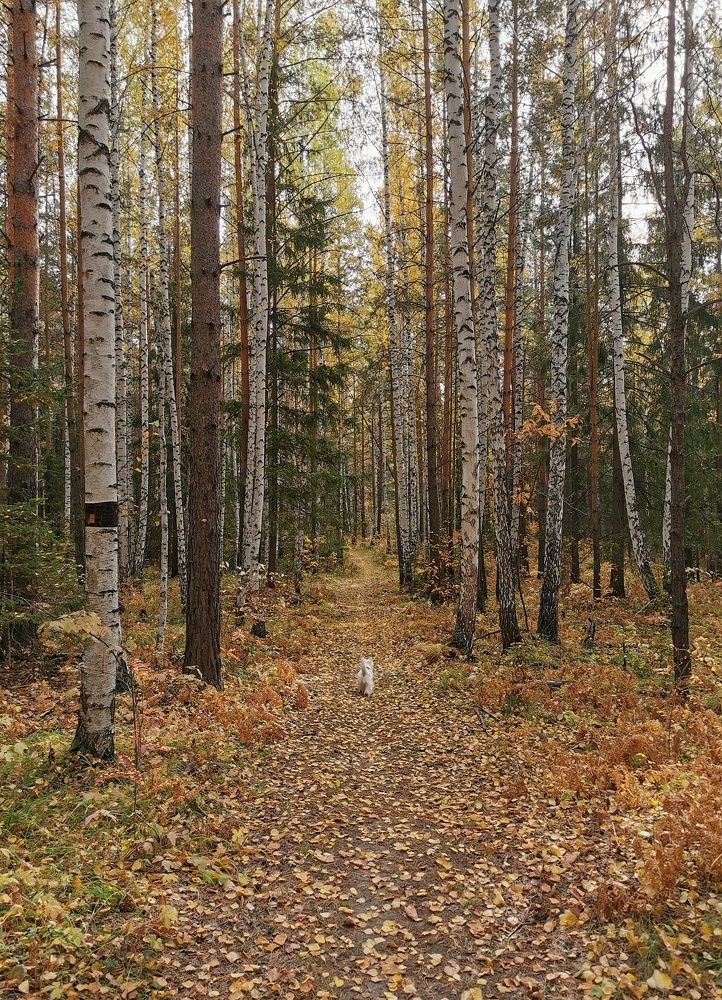 Photograph by Ксения Ершова