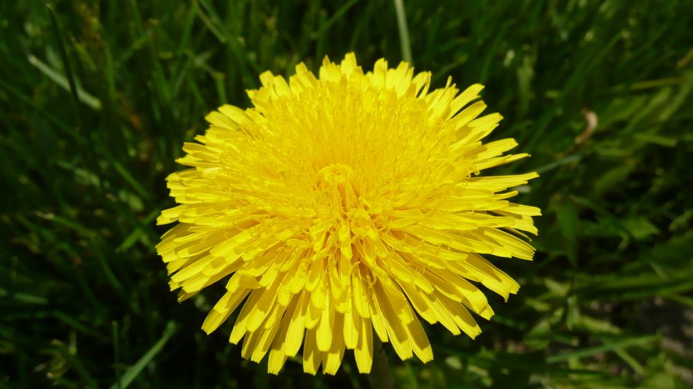 Photograph by Анна