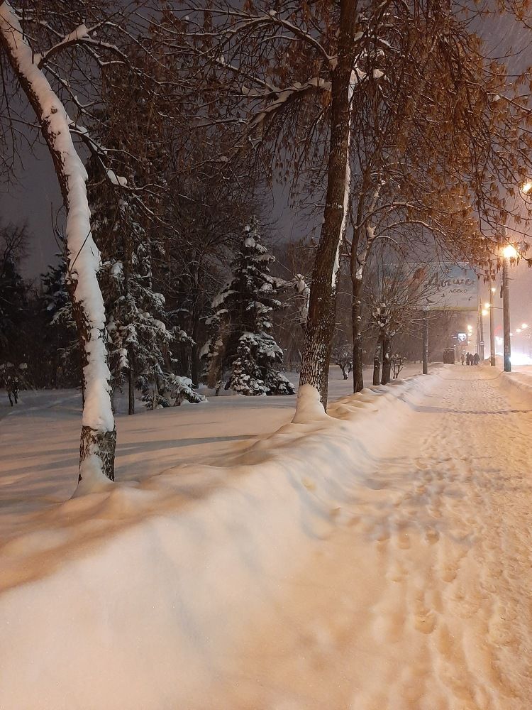 Photograph by Елена Горева