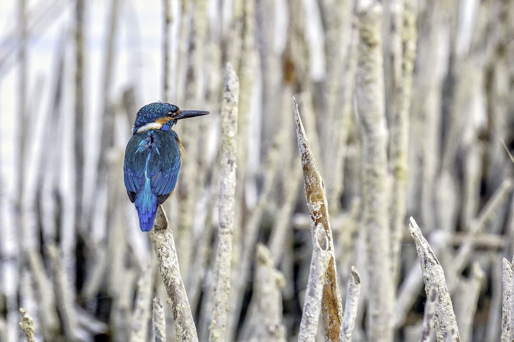 Фотография автора FATIH GONUL