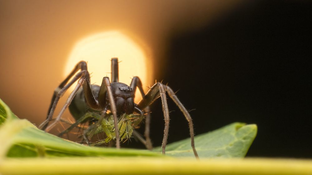 Photograph by Dinesh Kumar