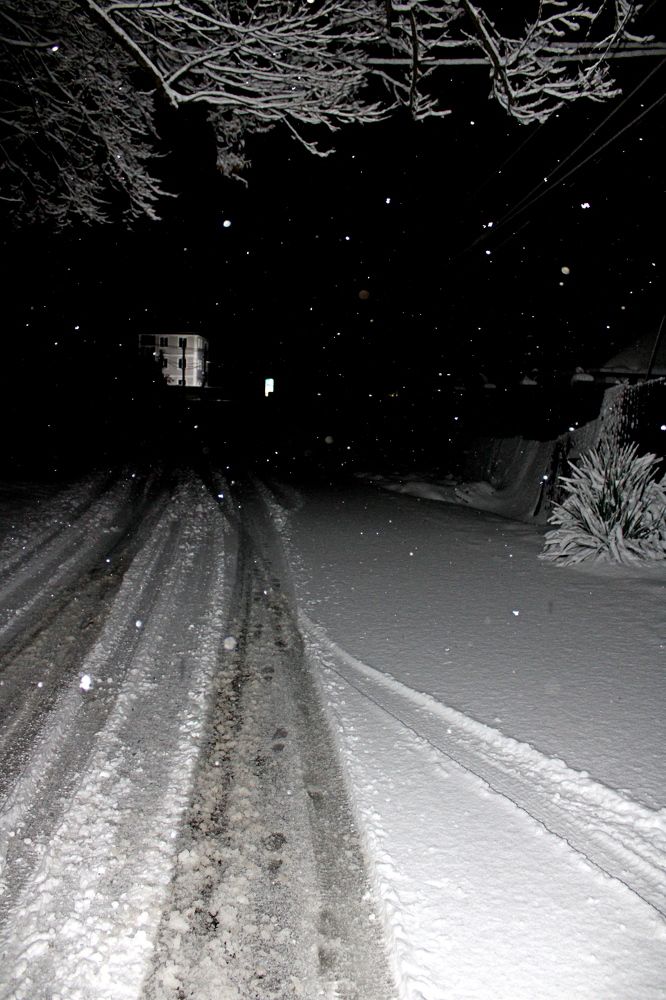 Photograph by Николай Немчанинов