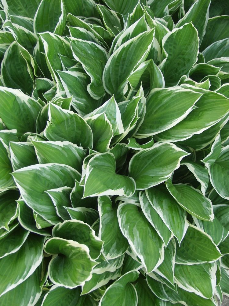 Photograph by Dariusz Gruszka