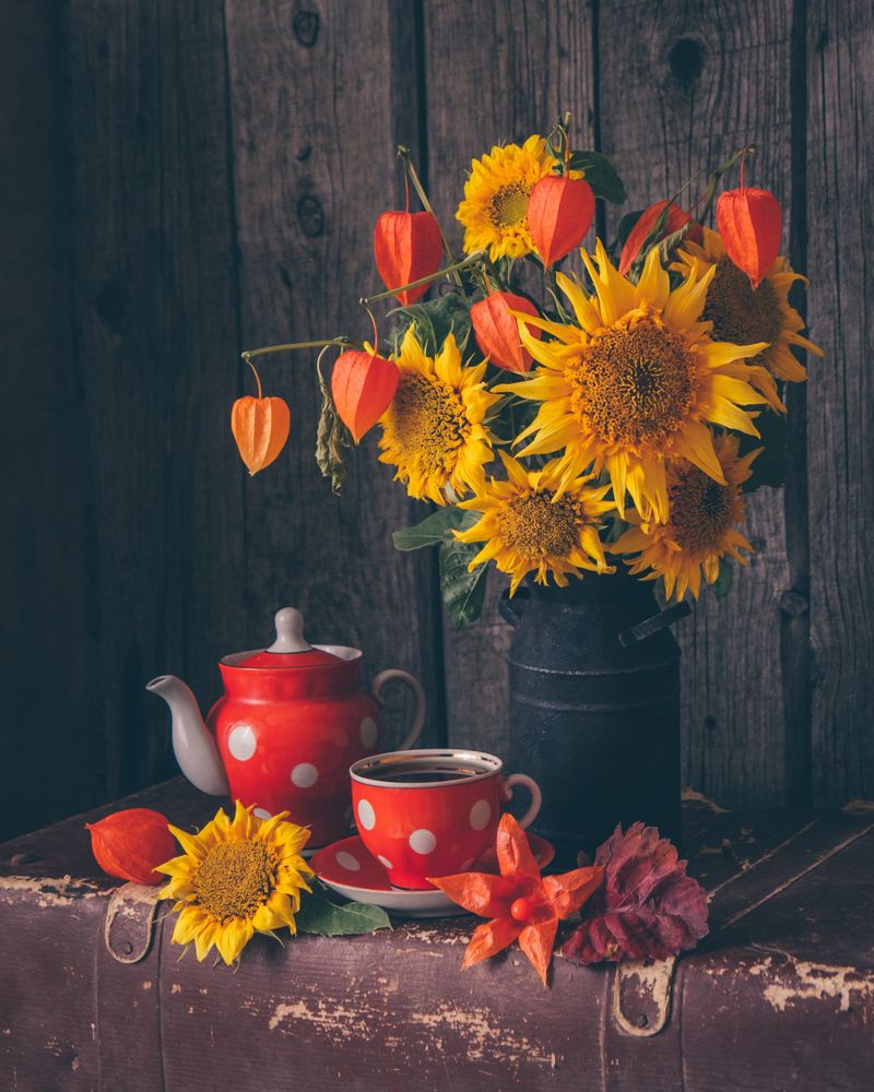 Photograph by Ранчинский Дмитрий