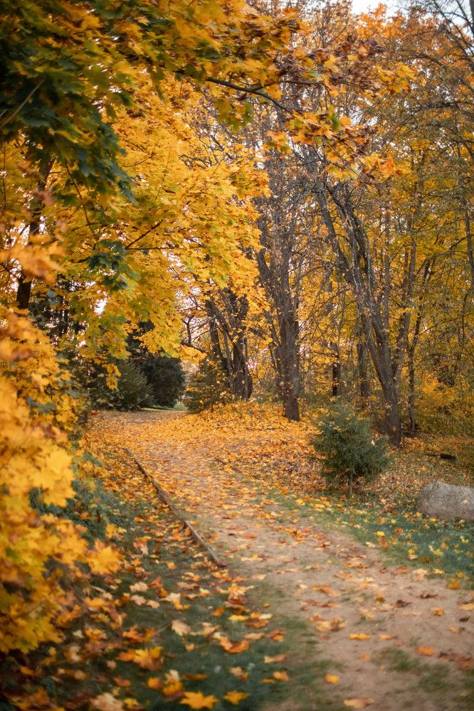 Photograph by Ольга Крестьянинова