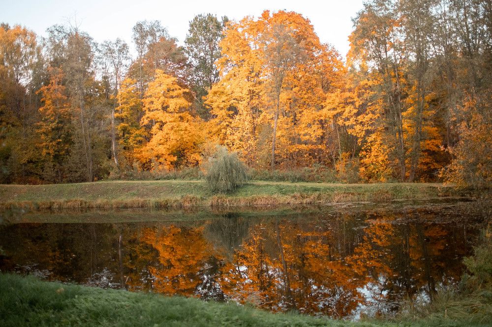 Photograph by Ольга Крестьянинова