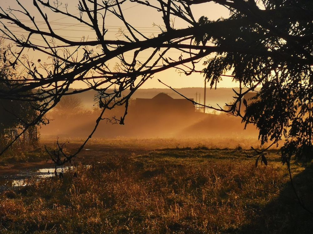 Осеннее утро