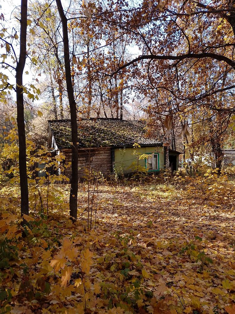 Photograph by Рина Хуртова