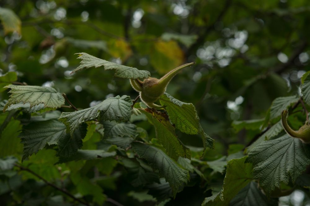 Photograph by Наталья Цуканова