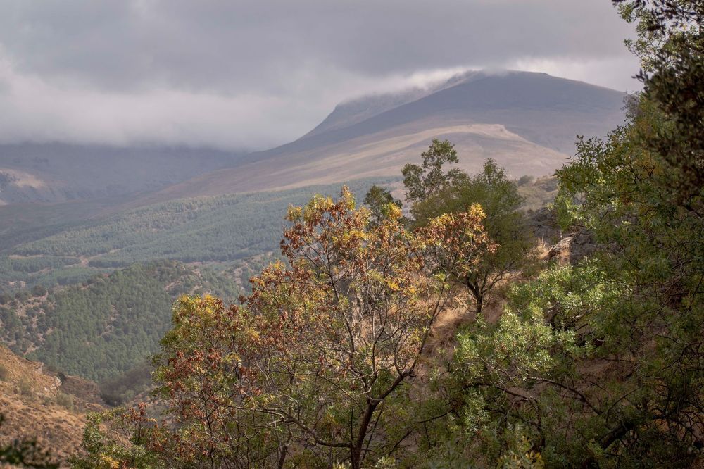 Photograph by Lucía Ruiz