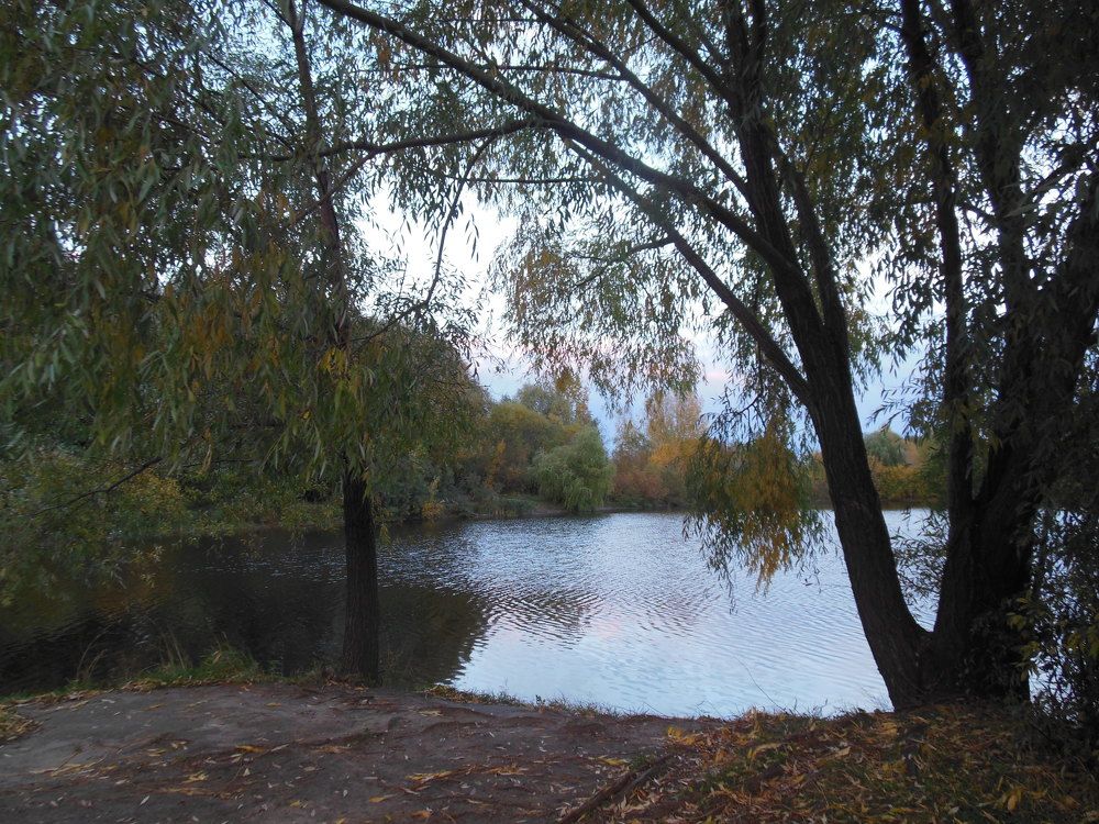 Photograph by Светлана Батурова