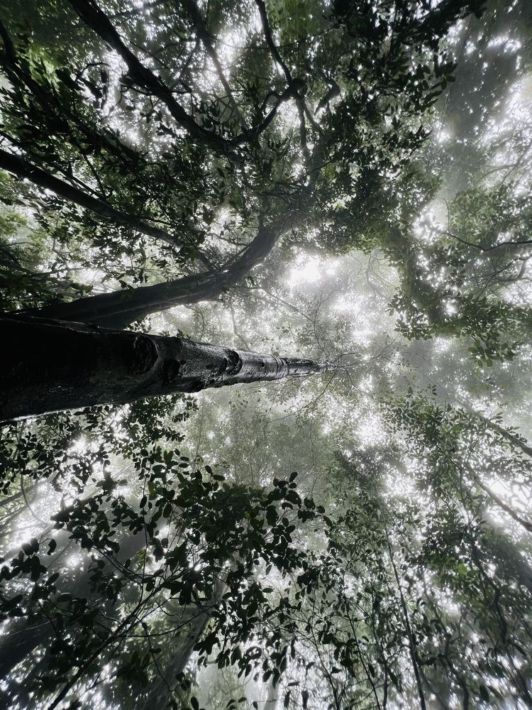 Photograph by Abdul shukoor