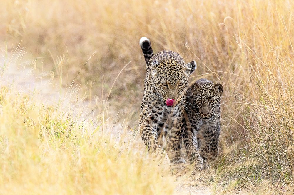 Photograph by Renny Poulose