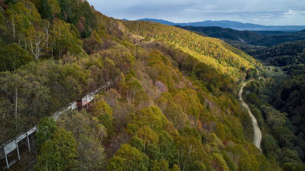 Фотография автора Вадим Бороненков