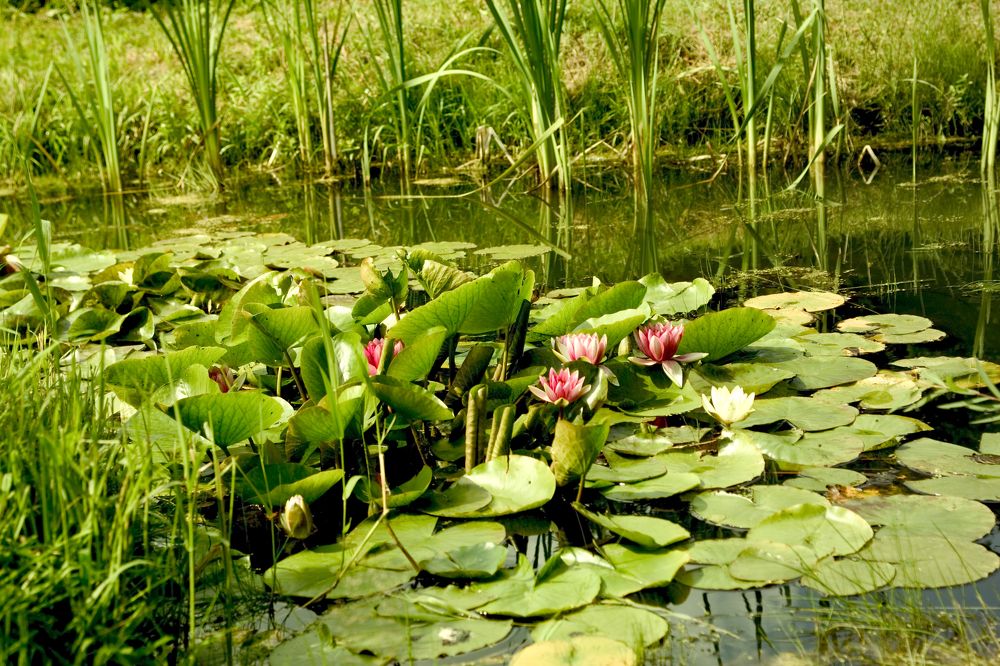 Photograph by Dariusz Gruszka