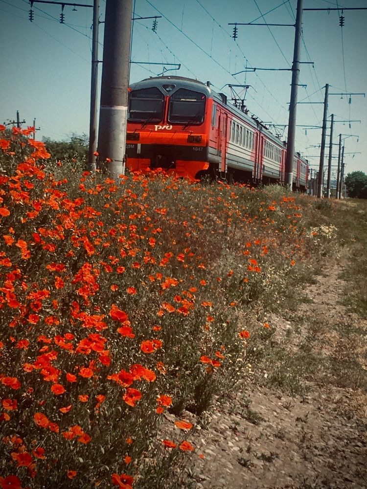 Photograph by Olga Afanaseva