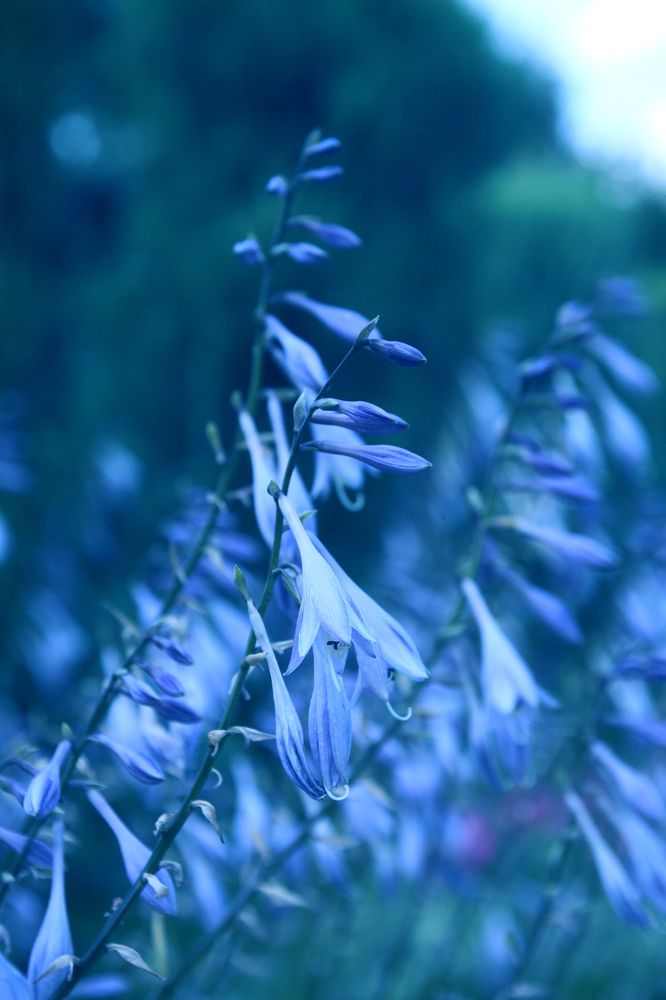 Photograph by Dariusz Gruszka