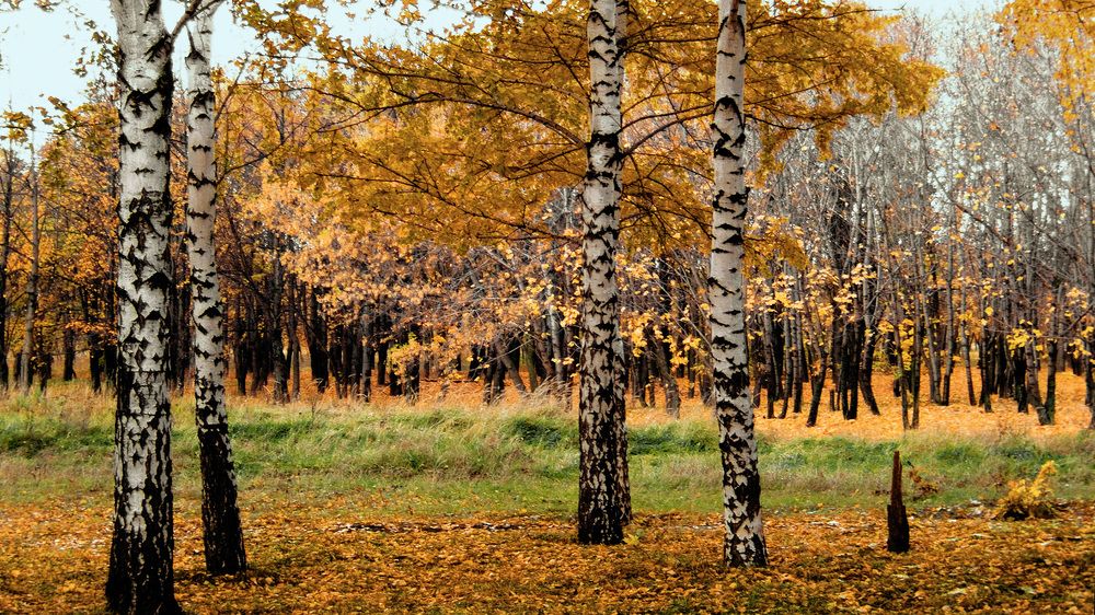 Photograph by Серега Вартман