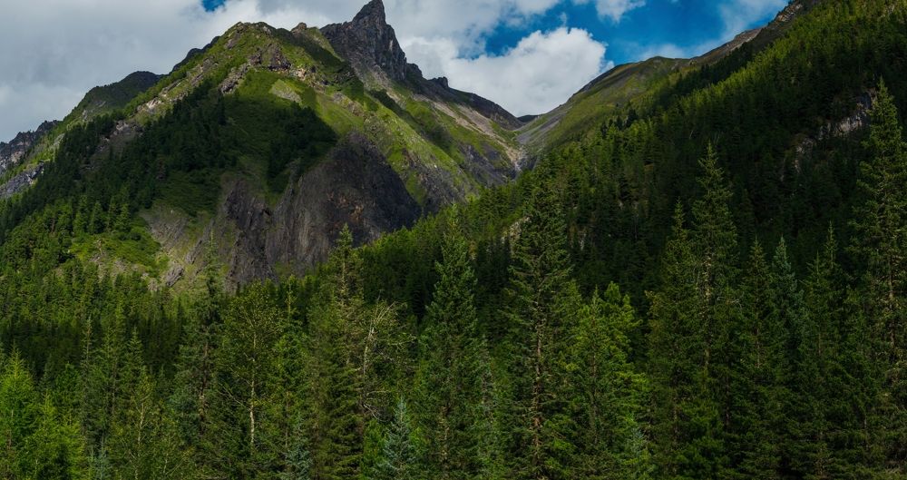 Фотография автора Оркина Ксения