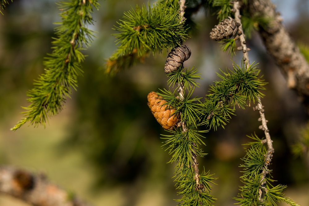 Фотография автора Оркина Ксения
