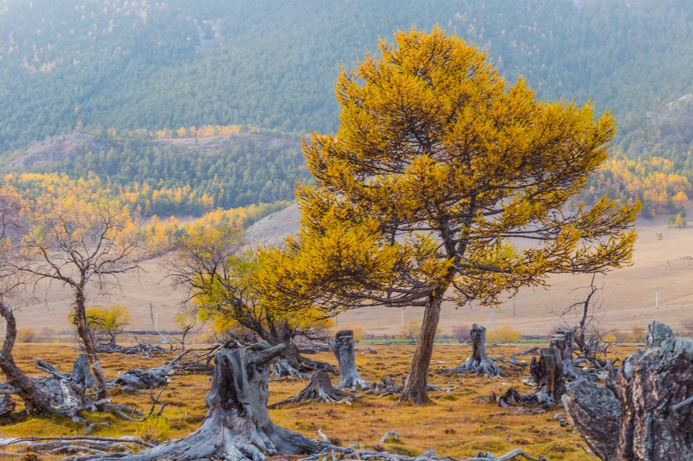Фотография автора Оркина Ксения
