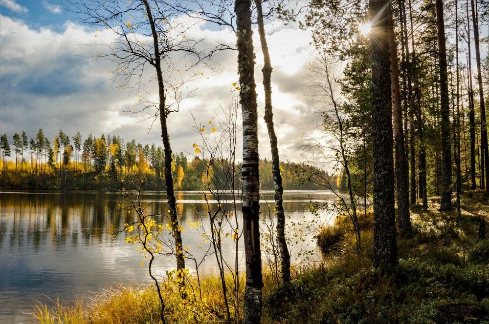 Photograph by Олег Менакер