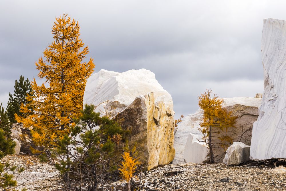 Фотография автора Оркина Ксения