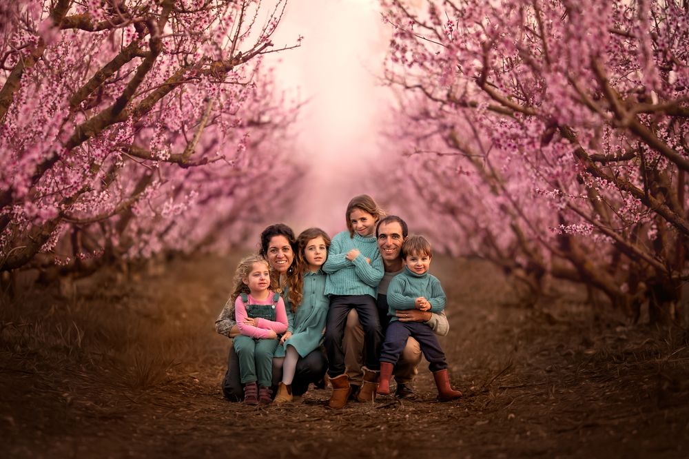 Photograph by Hamutal Avioz