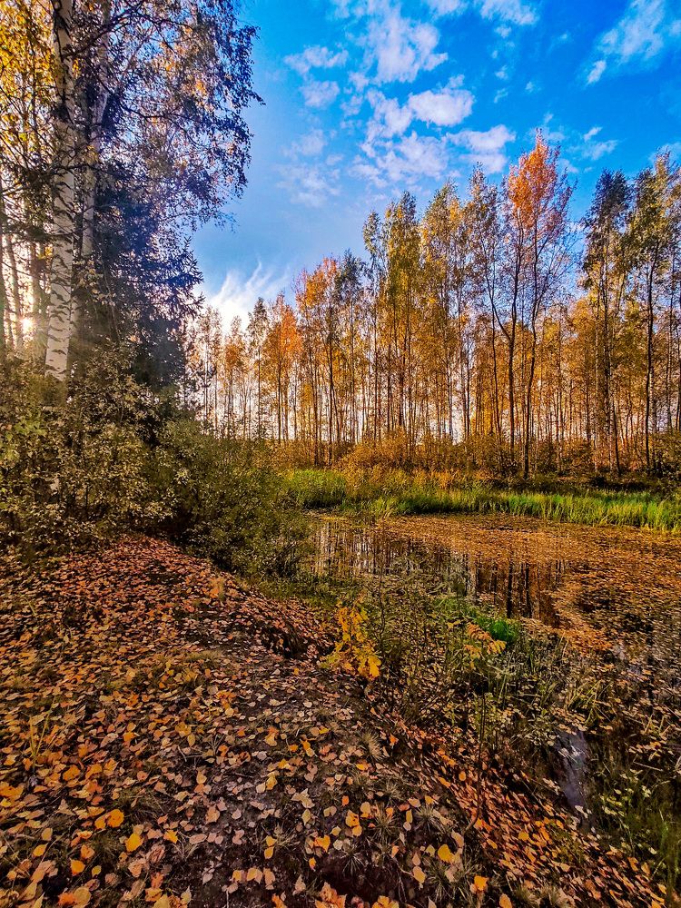 Photograph by Margarita