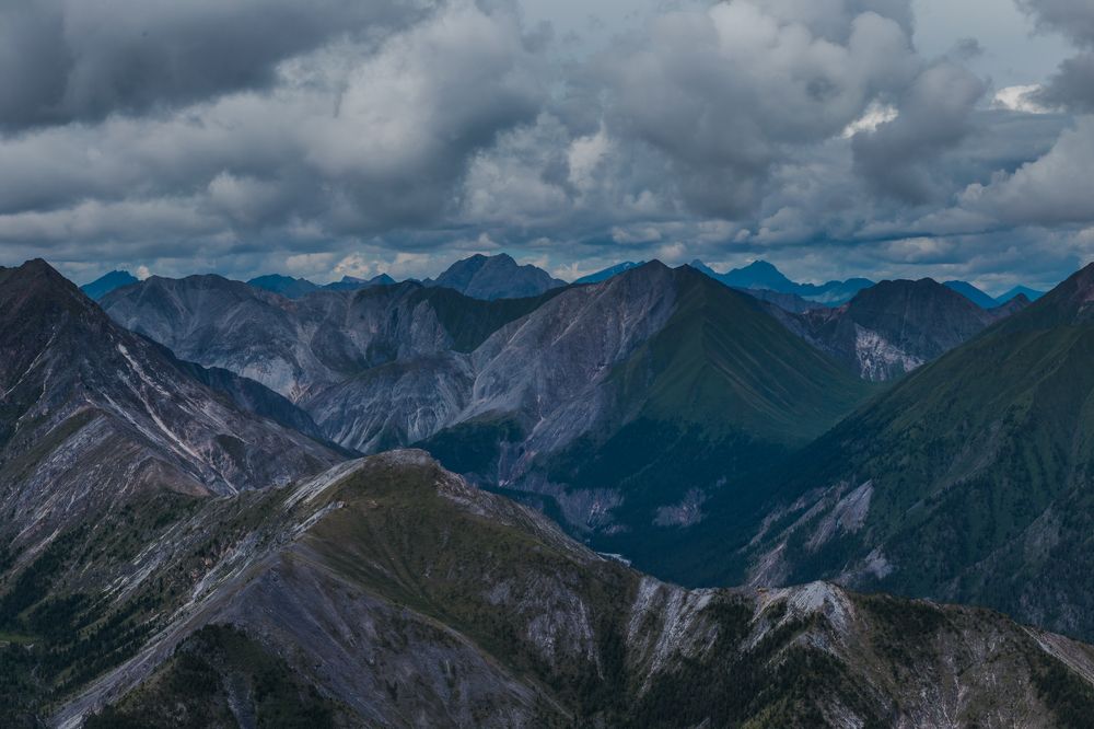 Фотография автора Оркина Ксения
