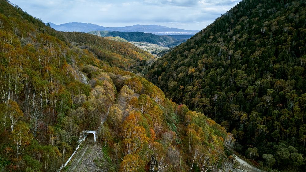 Фотография автора Вадим Бороненков