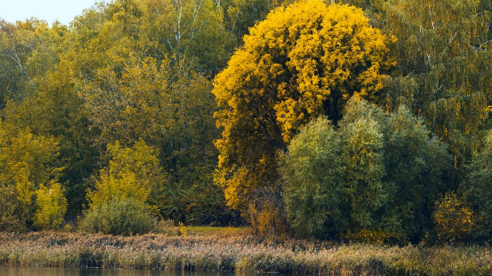 Photograph by Роман Никифоров