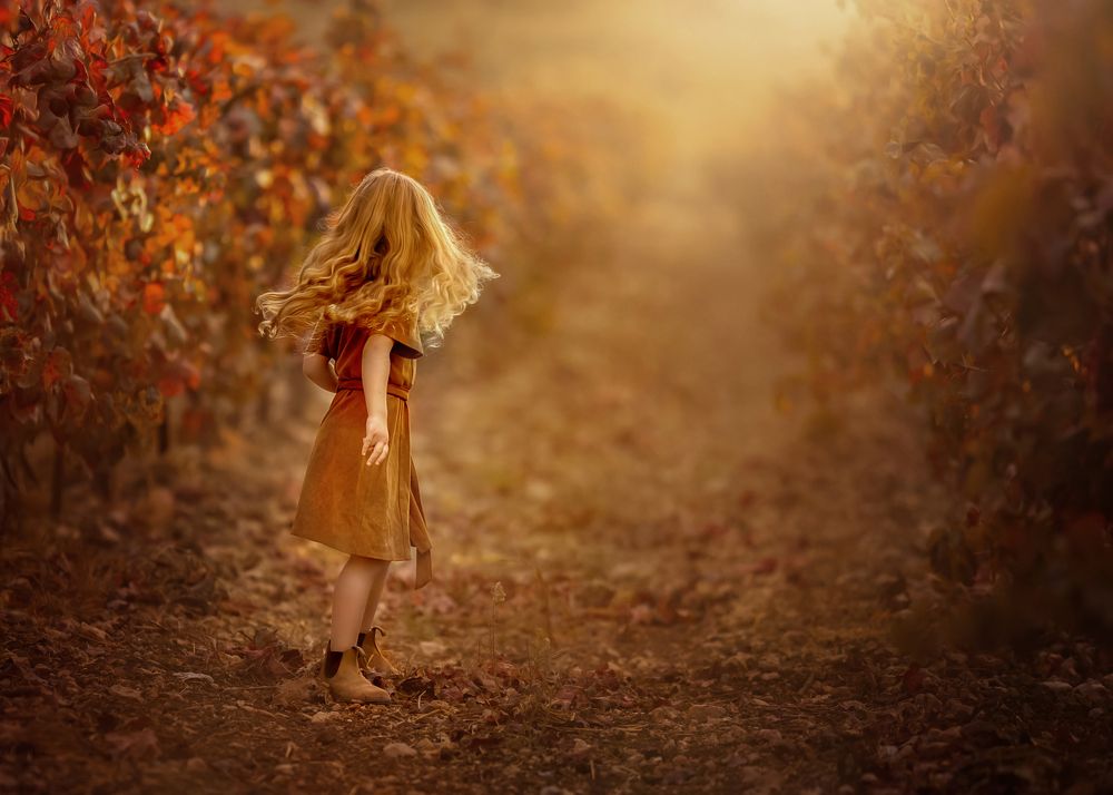 Photograph by Hamutal Avioz