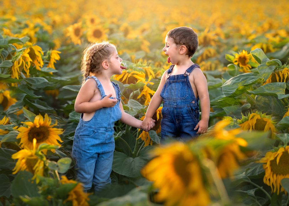 Photograph by Hamutal Avioz