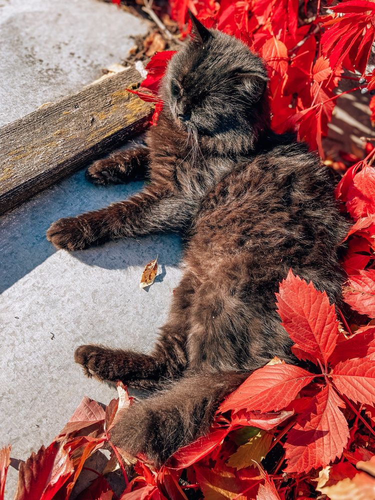 Photograph by Катерина
