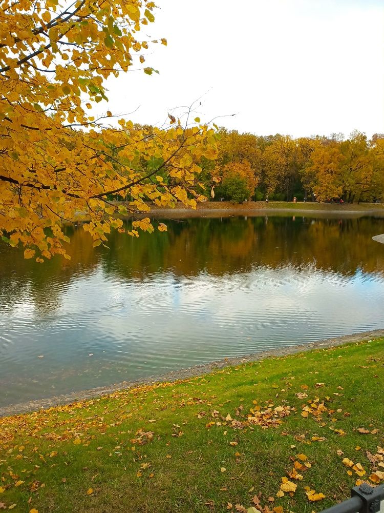 Photo #8150134