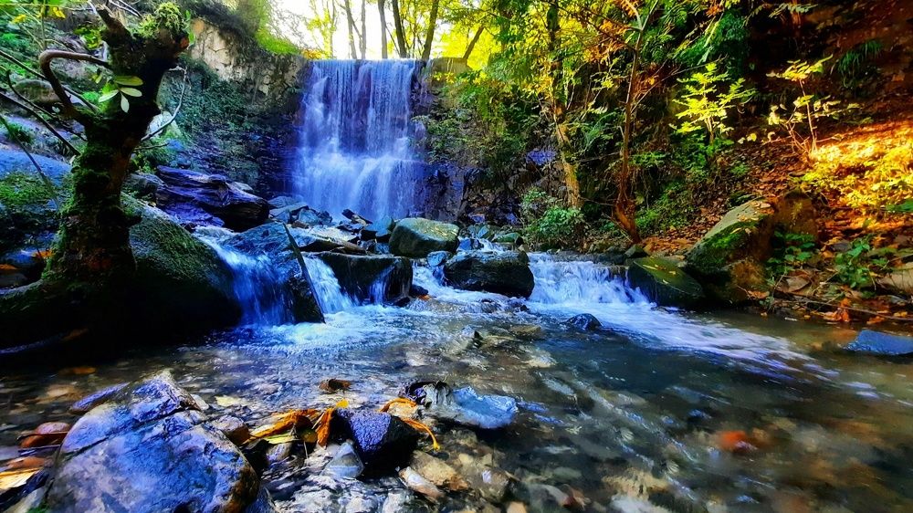 Photograph by yahya fathi